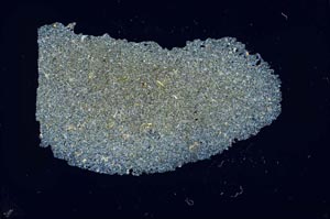 Cross Polarized, S16723