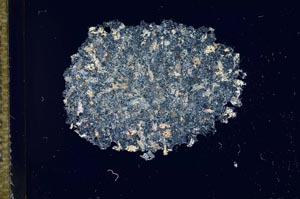 Cross Polarized, S16726