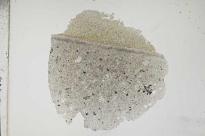 Plane Polarized, S16735