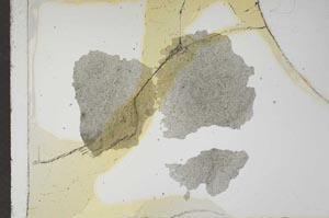 Plane Polarized, S16739