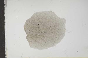 Plane Polarized, S16741