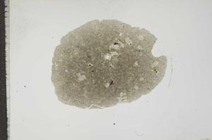 Plane Polarized, S16742