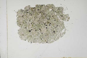 Plane Polarized, S16744