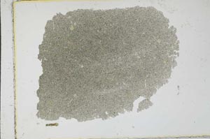 Plane Polarized, S16745