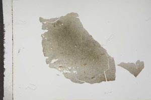 Plane Polarized, S16746