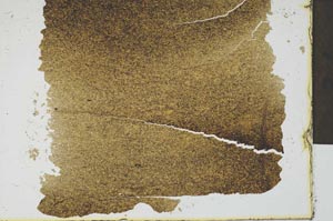 Plane Polarized, S16752