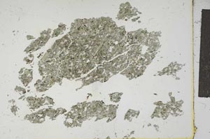 Plane Polarized, S16753