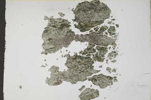 Plane Polarized, S16756