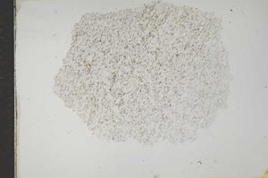 Plane Polarized, S16759
