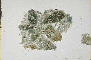 Plane Polarized, S16761