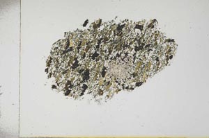 Plane Polarized, S16770