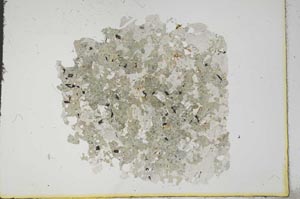 Plane Polarized, S16777/A