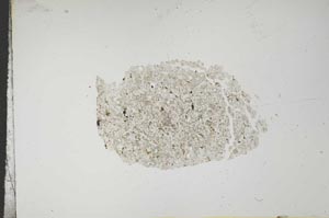 Plane Polarized, S16782