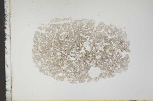 Plane Polarized, S16785