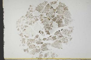 Plane Polarized, S16788