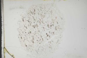 Plane Polarized, S16789