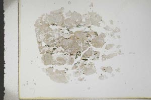Plane Polarized, S16792