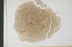 Plane Polarized, S16795