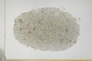 Plane Polarized, S16796