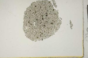 Plane Polarized, S16806