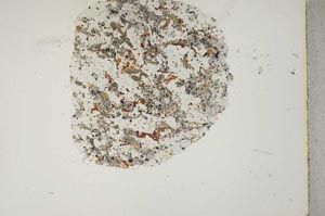 Plane Polarized, S16818