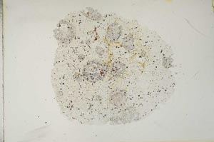 Plane Polarized, S16819