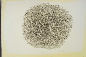 Plane Polarized, S16822