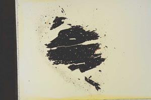 Plane Polarized, S16825