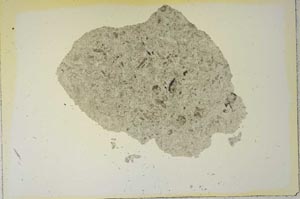 Plane Polarized, S16831