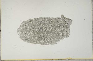 Plane Polarized, S16835