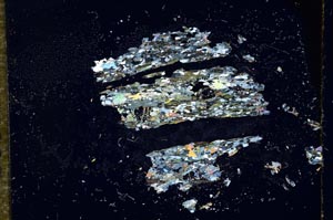 Cross Polarized, S16836