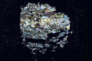 Cross Polarized, S16837