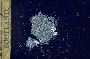 Cross Polarized, S16850