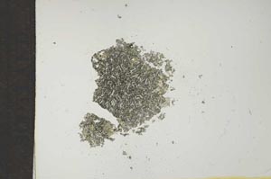 Plane Polarized, S16850