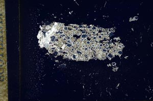 Cross Polarized, S16854