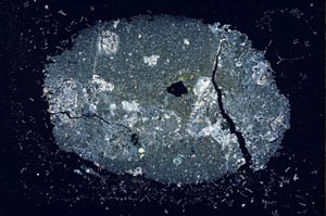 Cross Polarized, S16855