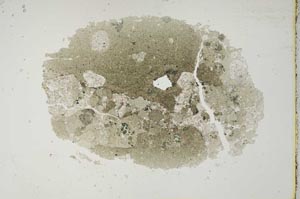 Plane Polarized, S16855