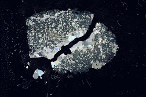 Cross Polarized, S16858