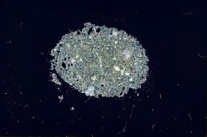 Cross Polarized, S16859