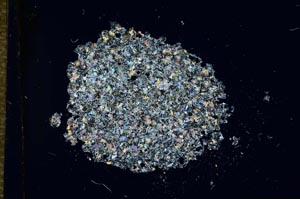 Cross Polarized, S16861