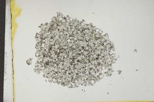 Plane Polarized, S16861