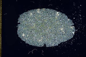 Cross Polarized, S16865