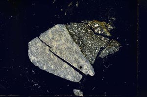 Cross Polarized, S16867