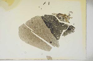 Plane Polarized, S16867