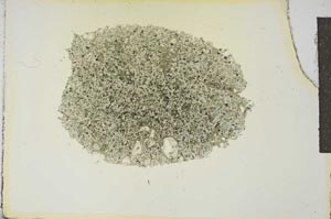 Plane Polarized, S16868