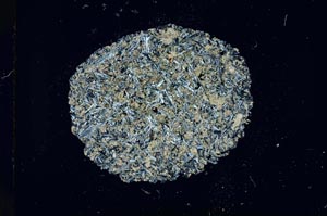 Cross Polarized, S16869