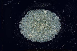 Cross Polarized, S16870