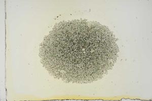 Plane Polarized, S16870