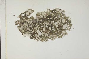 Plane Polarized, S16930
