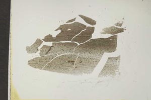 Plane Polarized, S16937